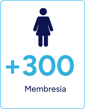 Icono con la cifra de más de 300 integrantes