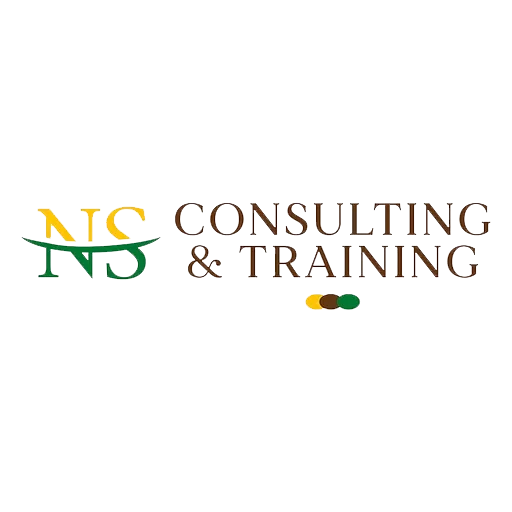 Logo de NS Consulting & Training